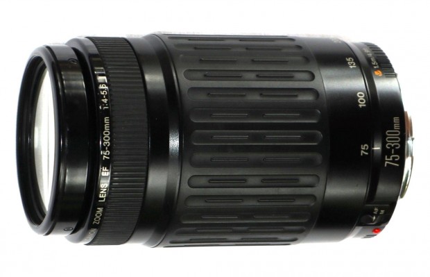 Canon EF 75-300 ( 75-300 mm )