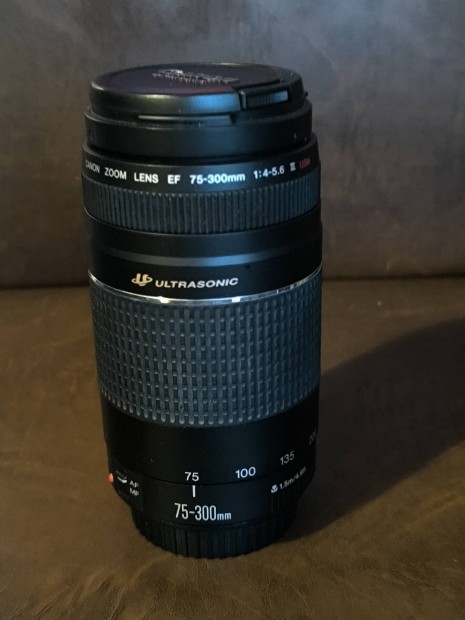 Canon EF 75-300  (fggben)