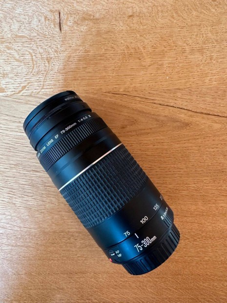 Canon EF 75-300mm III hibs!