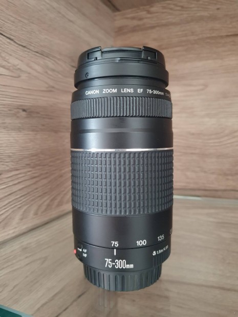 Canon EF 75-300mm 