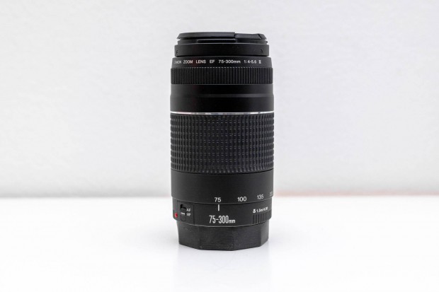 Canon EF 75-300mm f/4-5.6 III