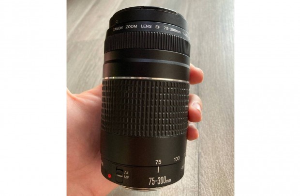 Canon EF 75-300mm f/4-5.6 III