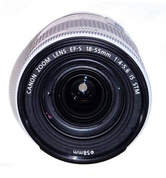Canon EF-S 18-55 Is STM ( 18-55mm )