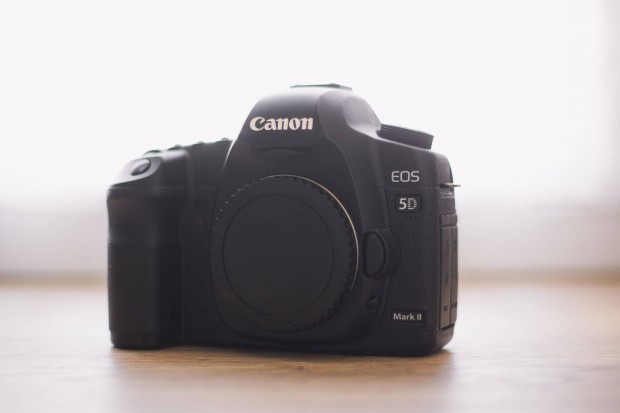 Canon EOS 5D Mark II (49 ezer expo)