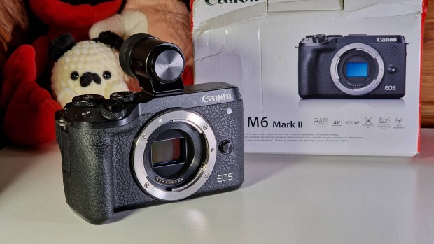 Canon EOS M6 II + EVF