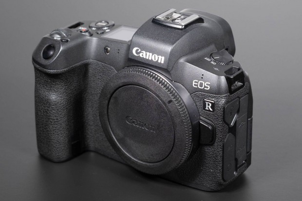 Canon EOS R (469 exp!)