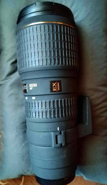 Canon Sigma 100-300 1:4 EX APO HSM