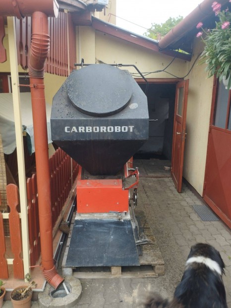 Carborobot kazn