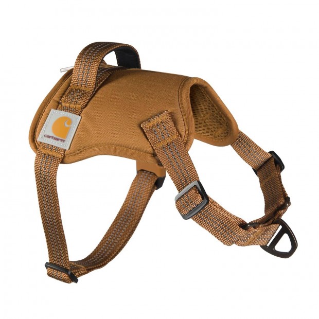 Carhartt kutya hám