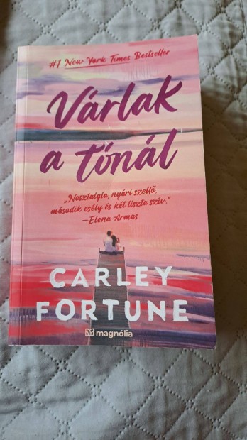 Carley Fortune - Vrlak a Tnl