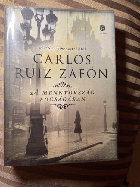 Carlos Ruiz Zafn. A mennyorszg fogsgban .