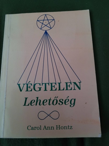 Carol Ann Hontz Végtelen lehetőség (Dedikált)