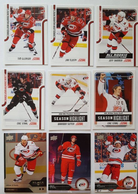 Carolina Hurricanes NHL krtyk Brindamour Kapanen Skinner Williams