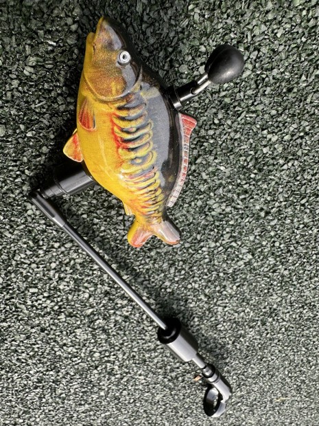 Carp swinger