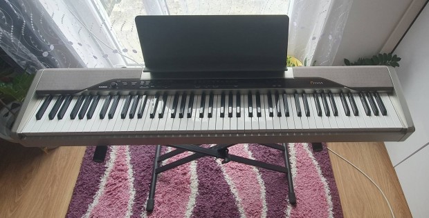 Casio privia px-110 keyboard piano. 