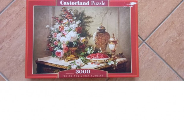 Castorland 3000 darabos puzzle