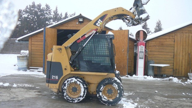 Caterpillar 216