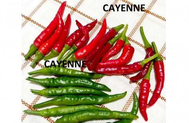 Cayenne chili paprika (habanero, skorpi, szellemchili Csomagban is!!!