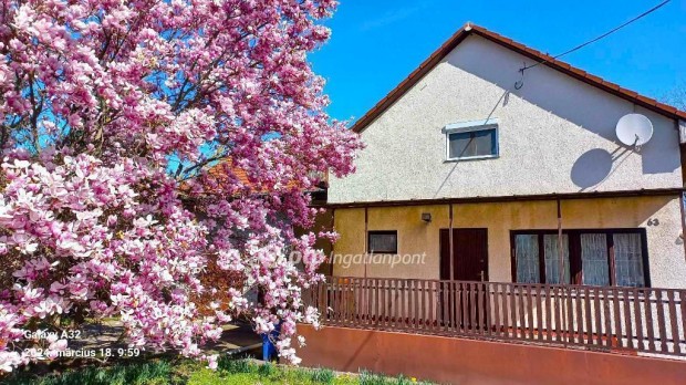 Cegl�di elad� 189 nm-es h�z