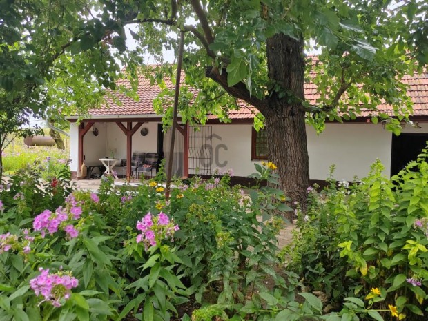 Cegl�di elad� 40 nm-es h�z