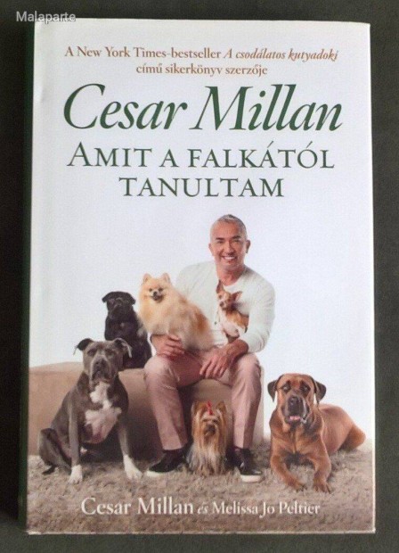 Cesar Millan : Amit a falktl tanultam