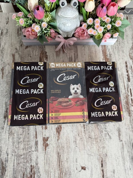 Cesar tálcás nedves kutyatáp kutya eledel 24x150g