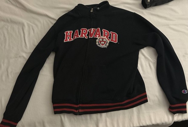 Champion Harvard pulcsi