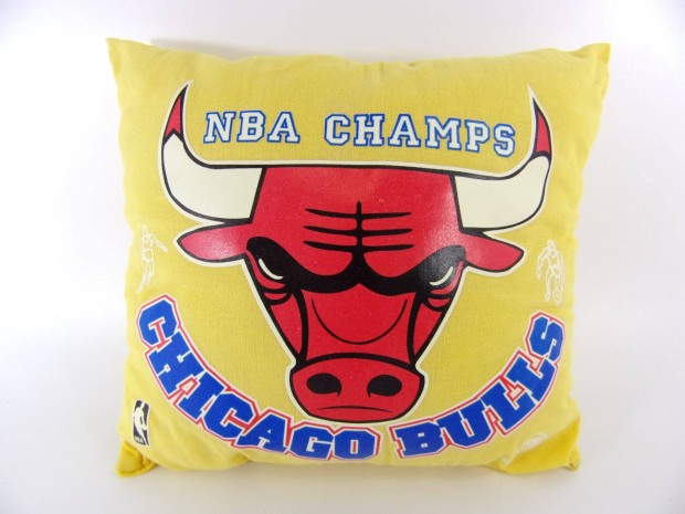 Chicago Bulls mini prna