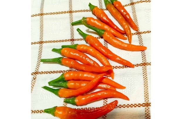 Chili terms MACSKA csomag (paprika, flia, nszirom, szeder, risz)