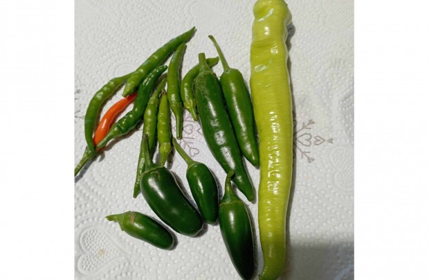 Chili terms des bann s jalapeno csomag (paprika