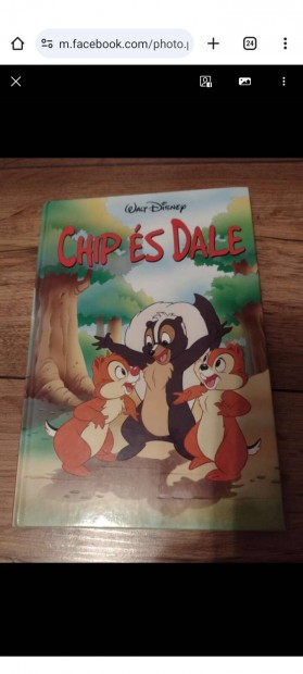Chip s Dale Walt Disney 