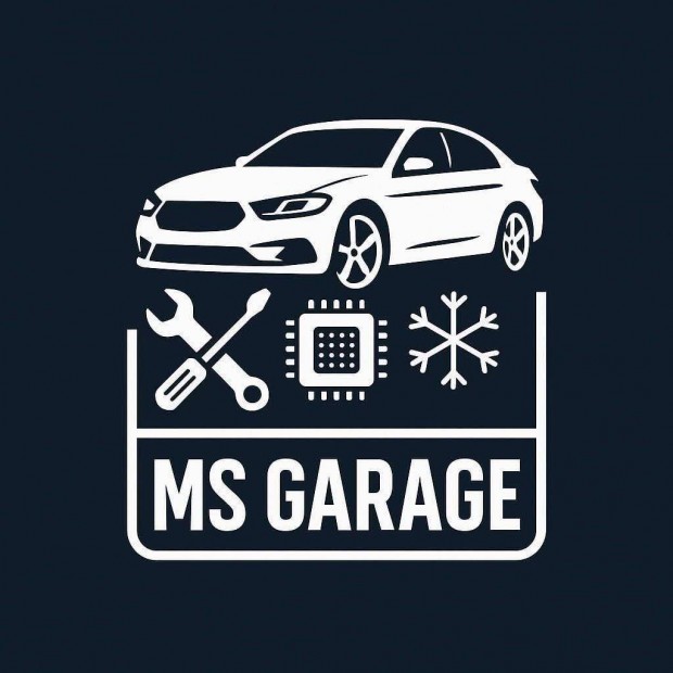 Chip tuning Msgarage