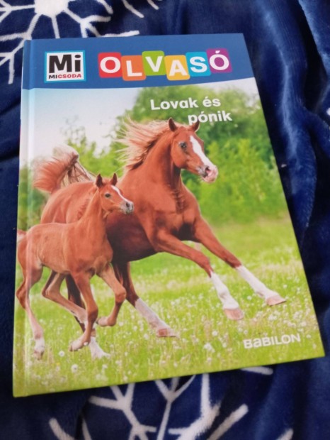 Christina Braun: Lovak s pnik (Mi Micsoda Olvas)