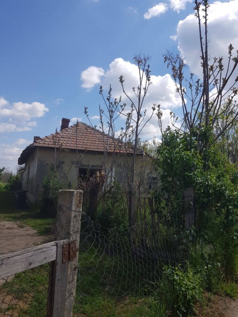 Cibakhzn 1886 m2 telekkel hz gazdlkodsra, nyaralnak, lakhatsra