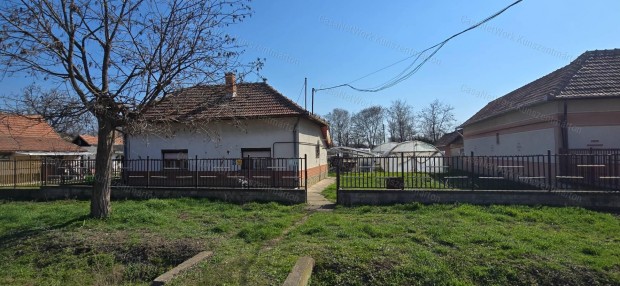 Cibakh�z�n elad� 2 szob�s csal�di h�z, vir�gkert�szeti f�lias�trakkal