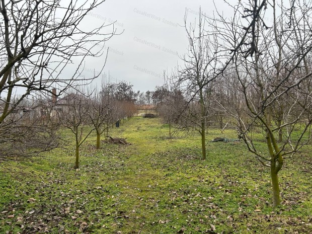 Cibakh�z�n elad� kertes csal�di h�z gy�m�lcs�ssel