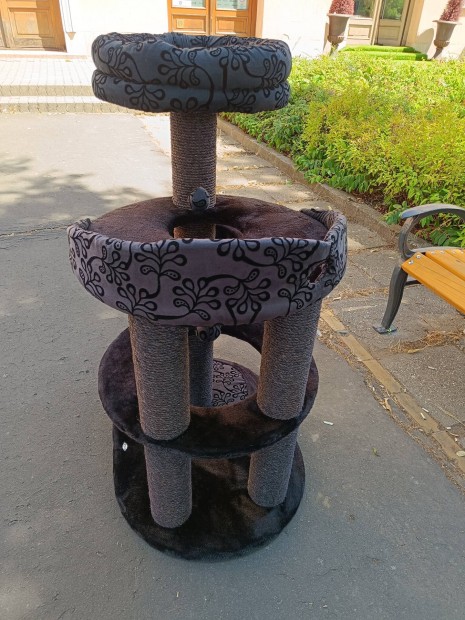 Cicabtor, kaparfa, macskafa 