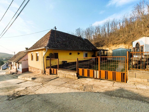 Cik�n 3 szob�s csal�di h�z f�kkal be�ltetett nagy telekkel elad�!