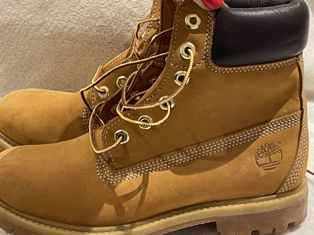 Cip Timberland j