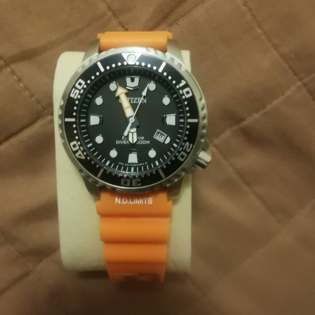 Citizen promaster 