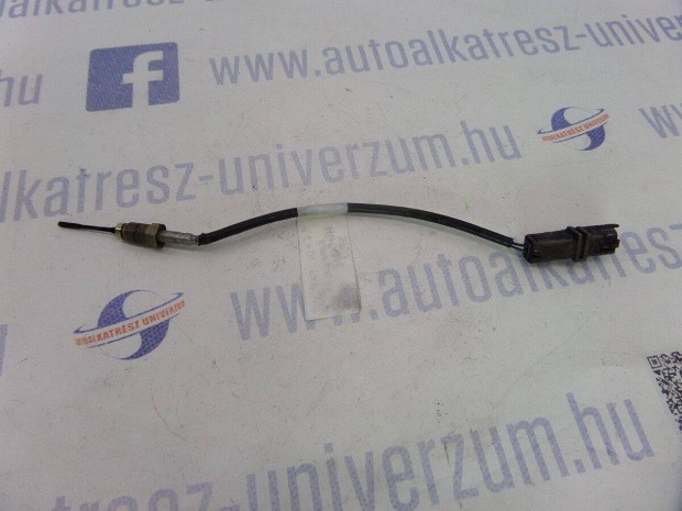 Citroen Xsara Picasso Elad bontott 1.6 HDI kipufoggz hmrsklet je