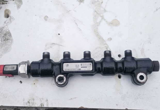 Citroen c3 1.4 hdi közös nyomocső 10000