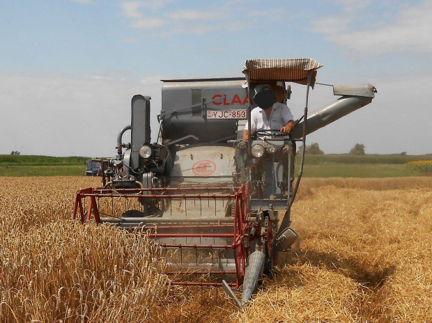 Claas Columbus parcella kombájn eladó