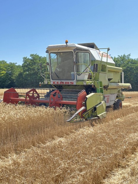 Claas Dominator 86 Elad.! 