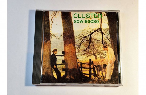 Cluster - Sowiesoso CD Abstract, Ambient