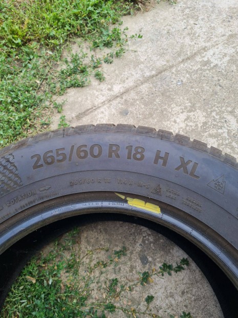 Continental wintercontact téligumi