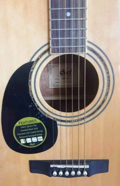 Country Series Steel Strings Acoustic Guitar! 