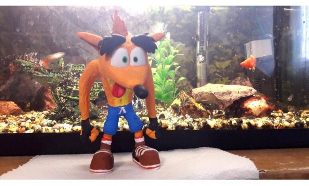 Crash Bandicoot szobor figura polcdsz