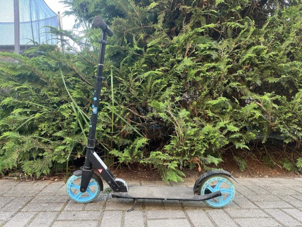 Crivit roller