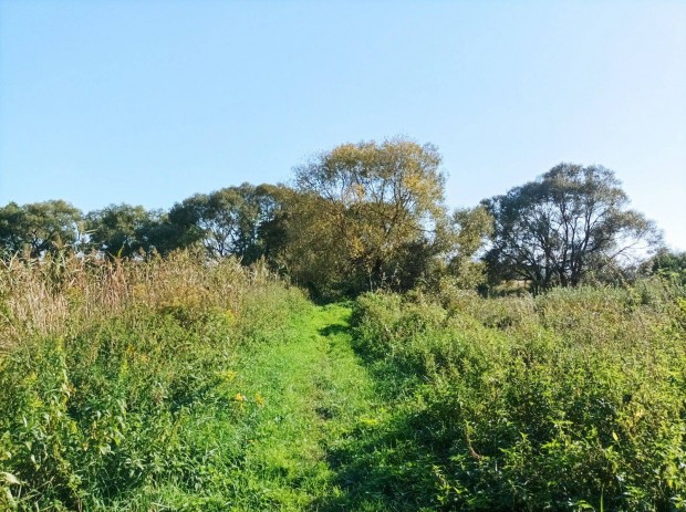 Csabrendek klterletn 11,2Ha terleten legel, erd, horgszt elad